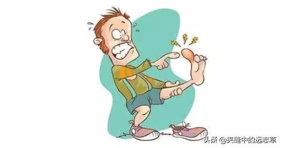 痛风，关节红、肿、热、痛？两味中药，清热燥湿，一味升，一味降