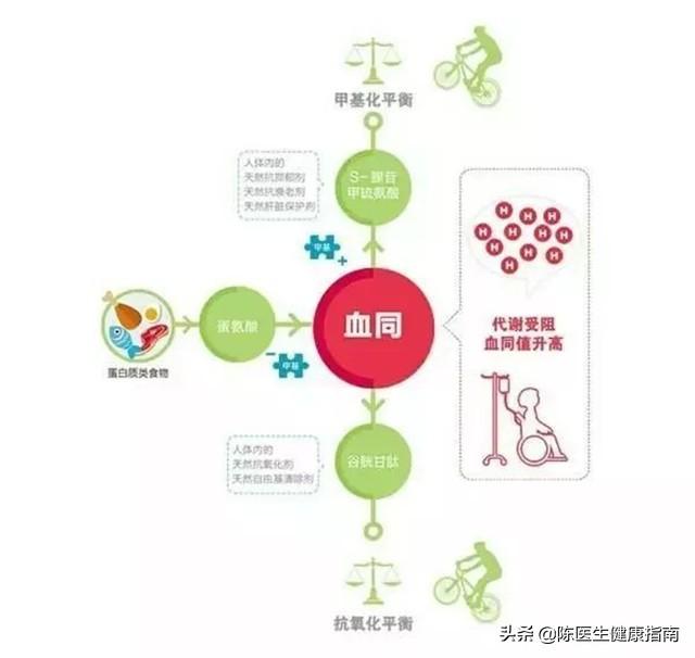 高血压补叶酸，吃多长时间合适？同型半胱氨酸高，多长时间复查？