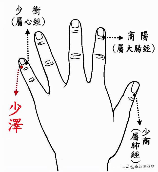 十二井穴总结篇