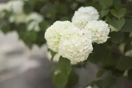 阳光心态美好人生的句子，句句经典入心