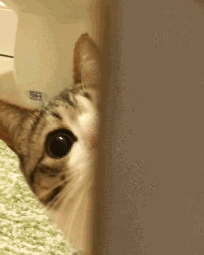 流言满天飞！关键时刻 社保基金竟也扛不住了