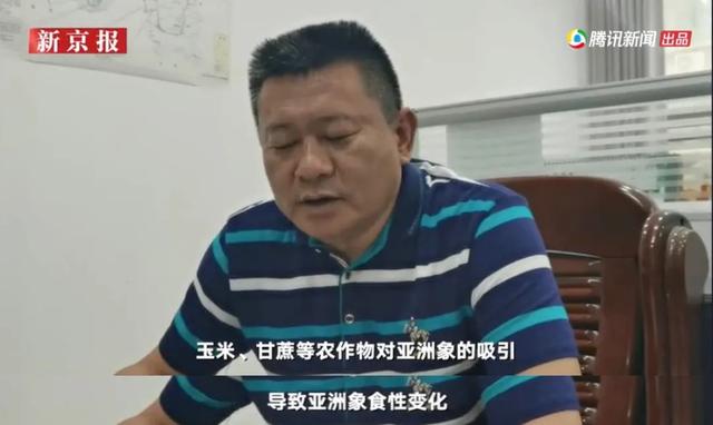 云南挖斗洗砂机现货