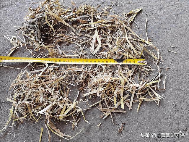 大型生物发电厂布料破碎机