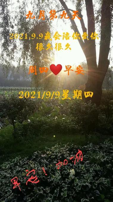 九月~九日
