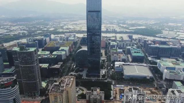 数据+算法+场景！“数字湾区”赛道给城市治理加速度了