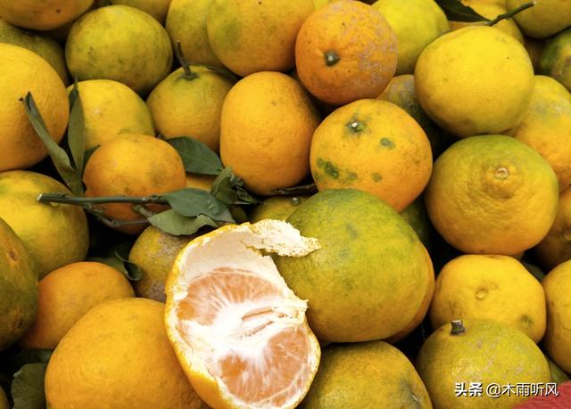 打什么药可以防治，柑橘果实里面的虫子？