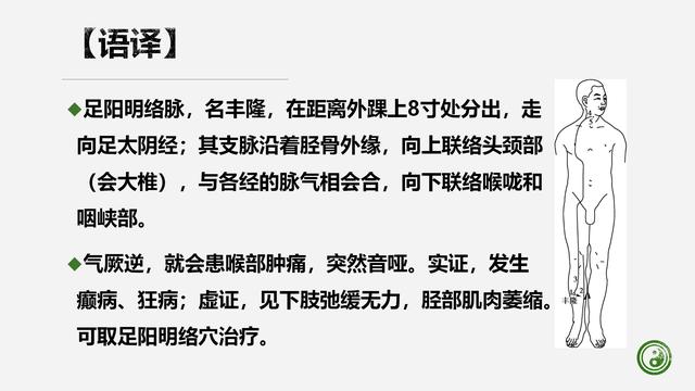 足阳明胃经与腧穴