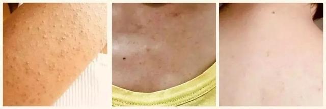 歌歌兰妮沙龙香水身体乳