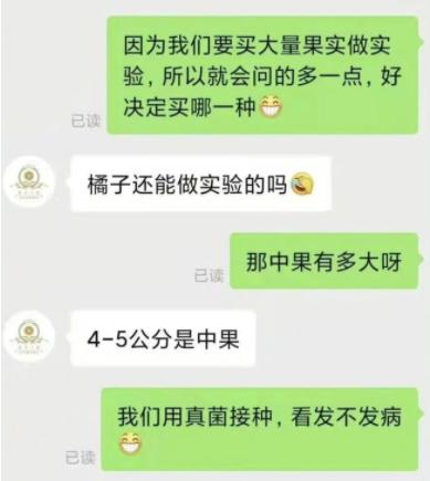 为国家科研捐橘子的网店火了，老板出面回应，直呼“理性消费！”