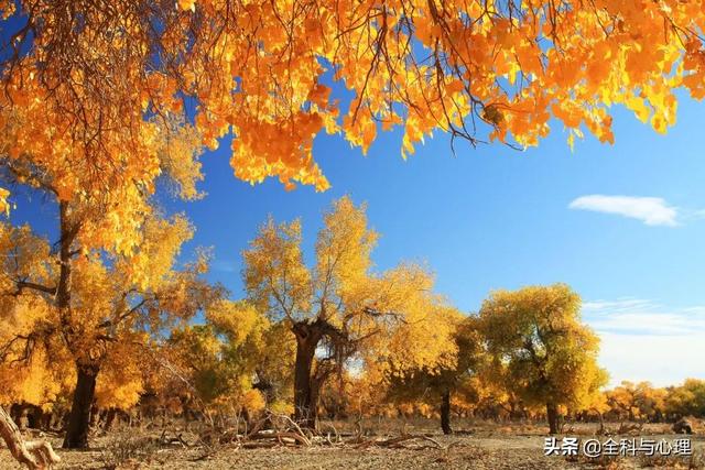 下半年,适合一个人出来的20个小众旅行地:累了,就出来走一走吧