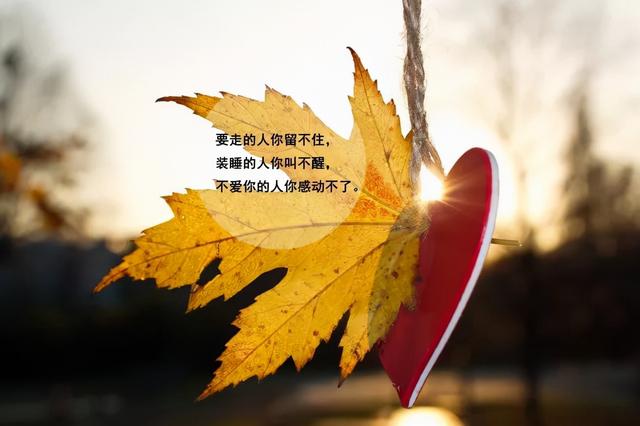 人生感悟励志的短句子，非常走心