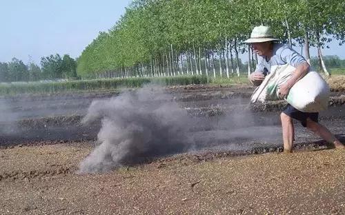 草木灰的作用有哪些？用对了竟能防治这么多病害！4