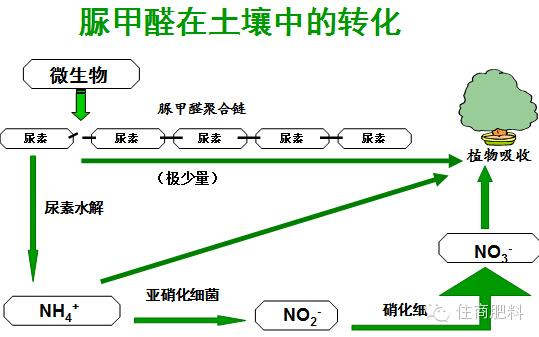 中国农资脲甲醛复合肥