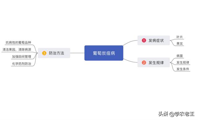 葡萄长出褐色病斑，粉红色黏液怎么办？四个方法教你防治