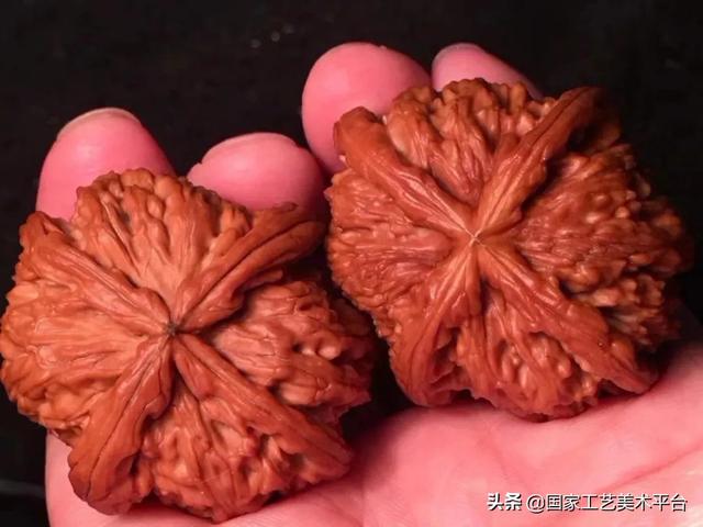 文玩核桃树
