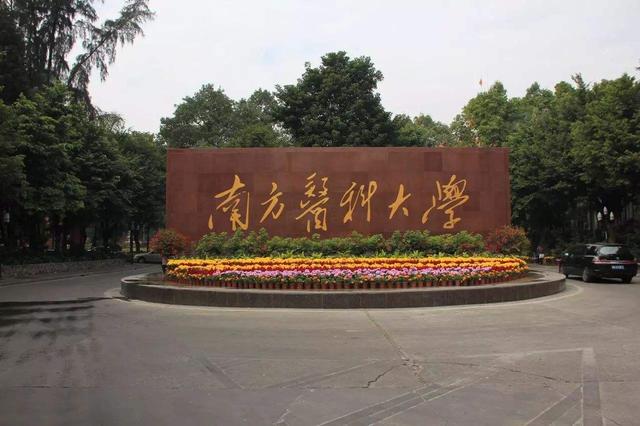 广东省的大学