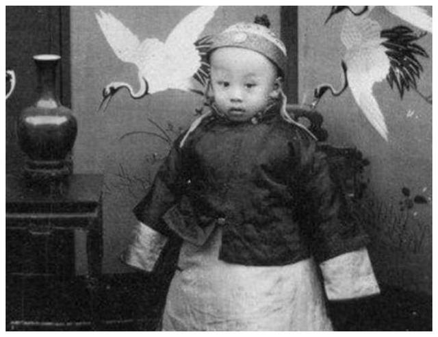 1995年，李淑贤将丈夫溥仪的骨灰移出八宝山，让他与别的女人合葬