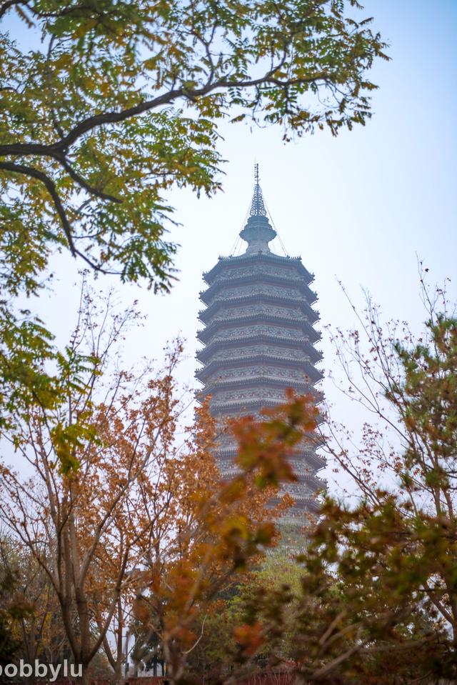 劲展工程