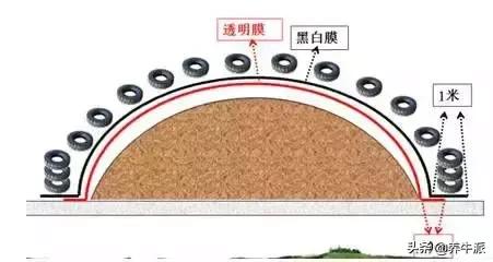 浙江轮式土沙洗砂机视频