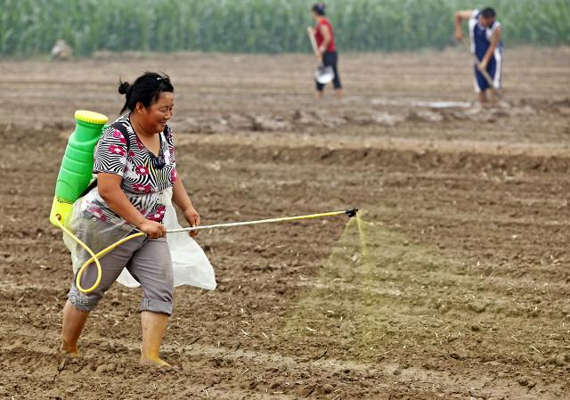 农药助剂品种很多，有机硅、植物油、矿物油，哪个效果好？