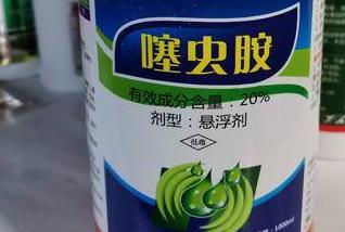 百香果蓟马活跃爆发，常用的化学药剂有哪些？各有哪些优缺点呢？4