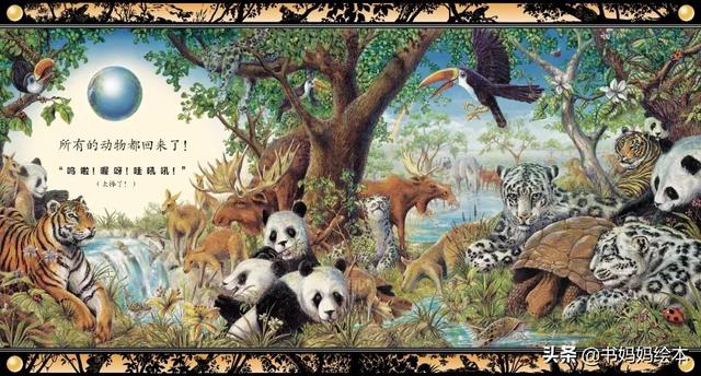 儿童全科启蒙绘本，启蒙全面思维能力，发展多维教育潜能