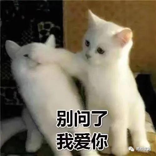 中药调理毛周角化症