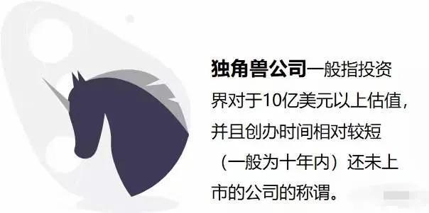 什么是独角兽公司？