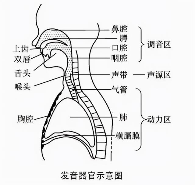 四个小方法，改善儿童发音不清、大舌头等语言问题