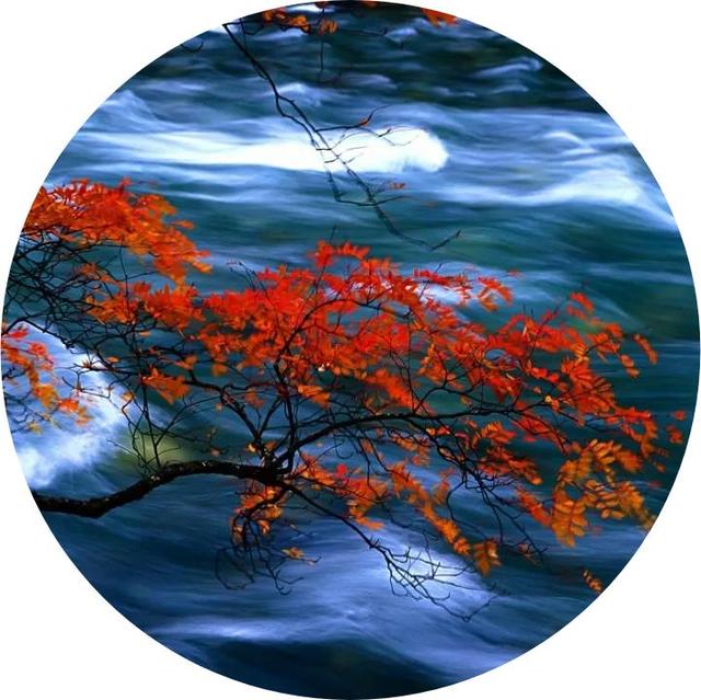 微信头像,秋天最迷人的景色,足足40张-站库网