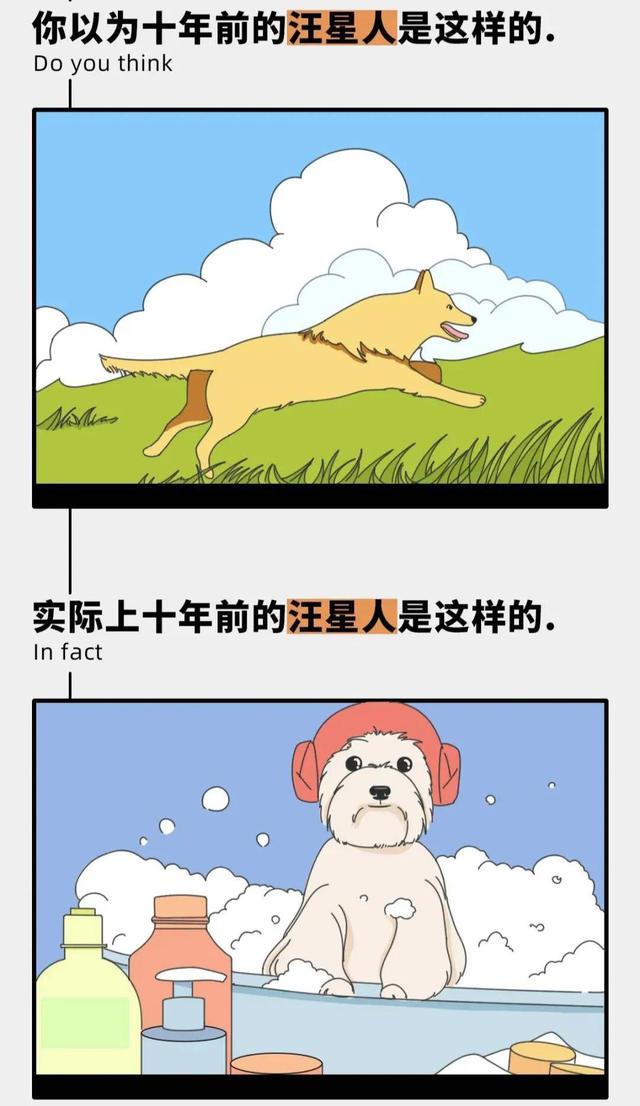 你以为的十年前 VS 真实的十年前