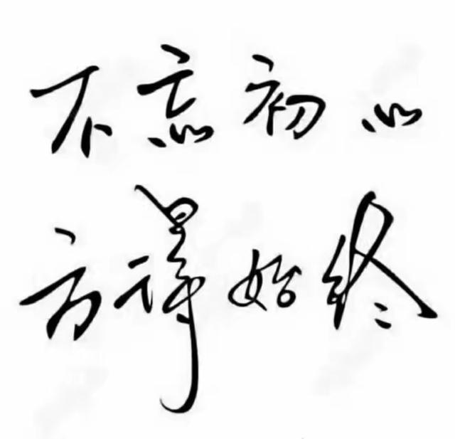 参机械展心得体会