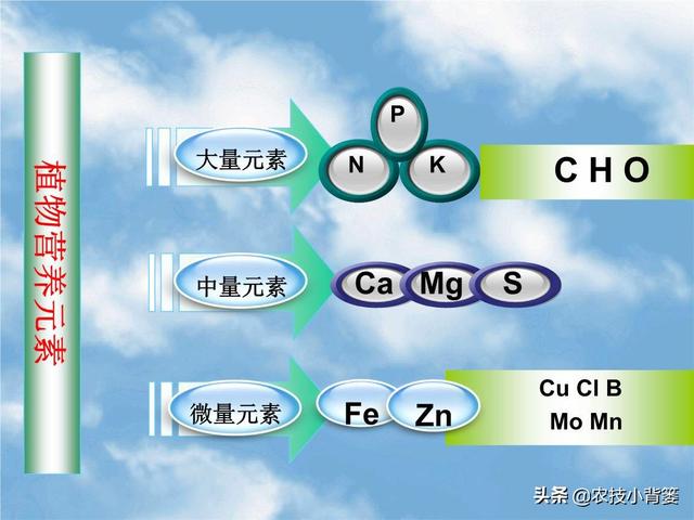 果树缺素长势差、产量低，果树这13种缺素症状要判断准！2