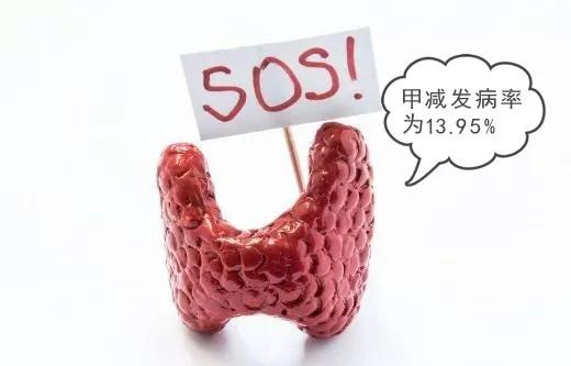 得了甲减，饮食上我们应该注意什么？