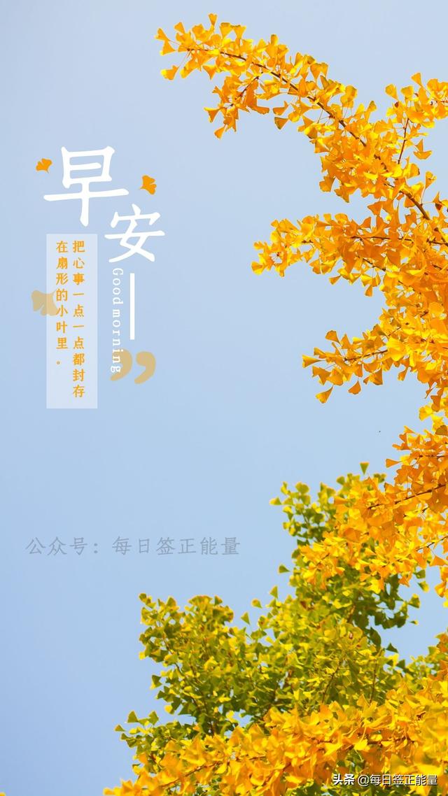 感恩遇见的简短句子（正能量感谢遇见语录文字）