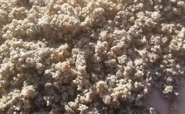 洗砂机过滤水中草根