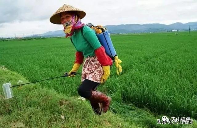 正确使用和选用草甘膦除草剂