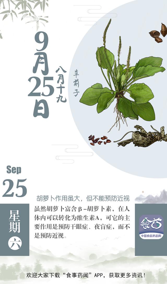 早安｜小科普——胡萝卜作用虽大，但不能预防近视