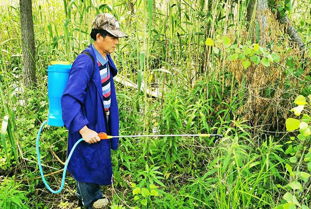 草铵膦与这药混配，对32种杂草一扫光，7天死草，60天不长草6