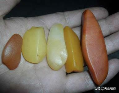 吐鲁番河卵石制砂机