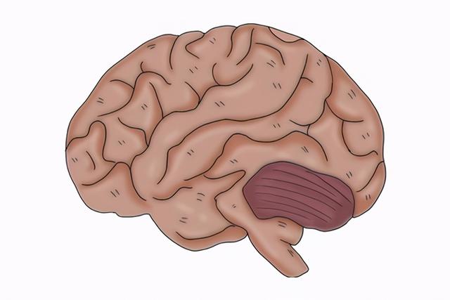 女人到了50岁，为什么经常半夜三四点就醒来？早了解比较好