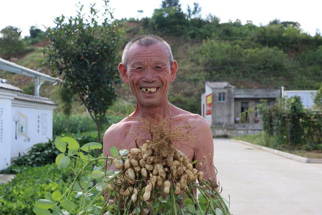 长期吃花生是降血压，还是升血压？医生提醒：终于说明白了