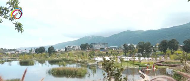 尾矿坝