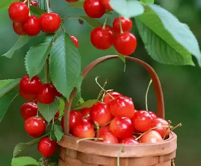 哪些食物是隐藏的凶手？