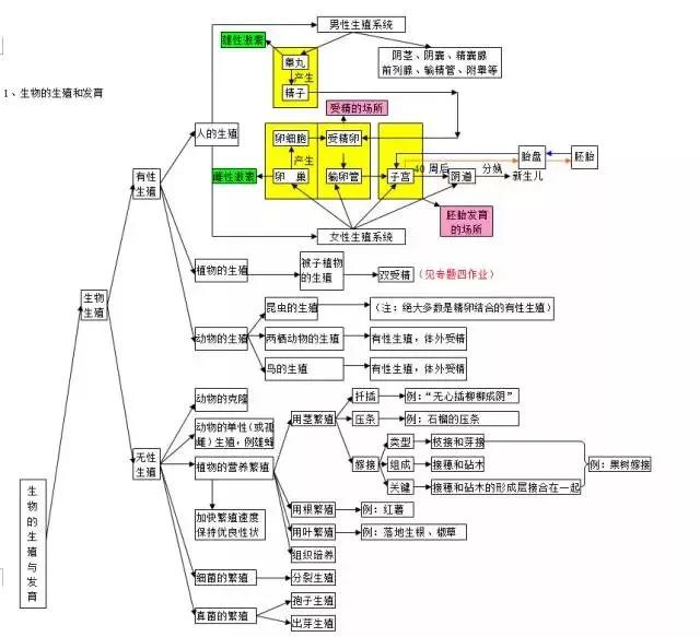 初中各科思维导图全汇总（语文、数学、地理、历史、化学、生物）