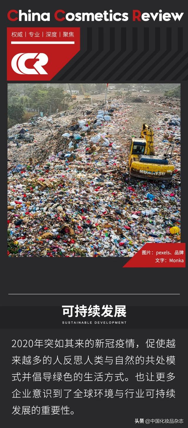 包含兰花树皮破碎机的词条