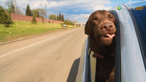 16部超赞自然纪录片，让孩子足不出户看到地球的“真实面目”！