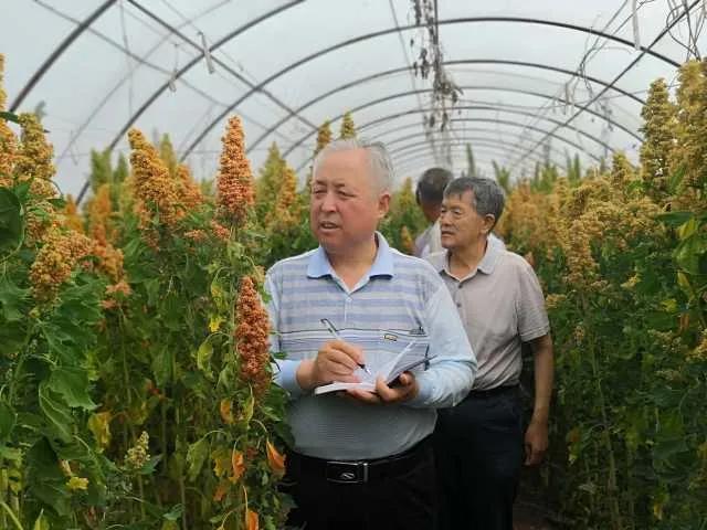 宁夏洗砂机回收的原因的简单介绍