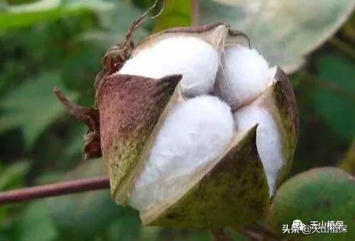 包含洗砂机冲孔钢网和普通筛网的区别的词条