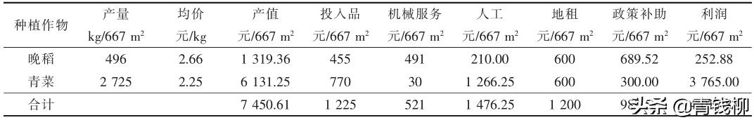 宁波市鄞州区水稻产区冬闲田青菜轻简化栽培模式2